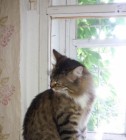 Meine Matilda