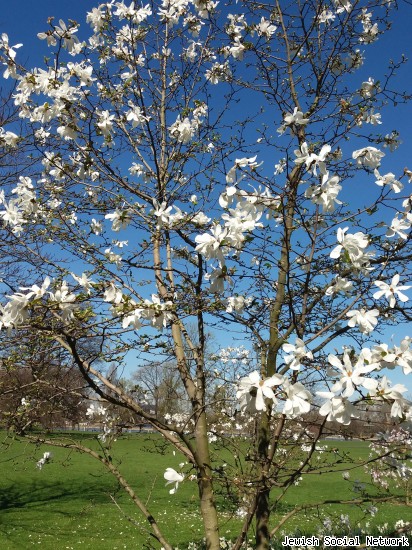 Frühling