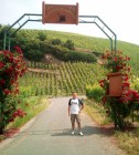 Mosel