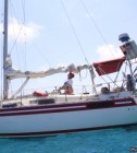 Alexander